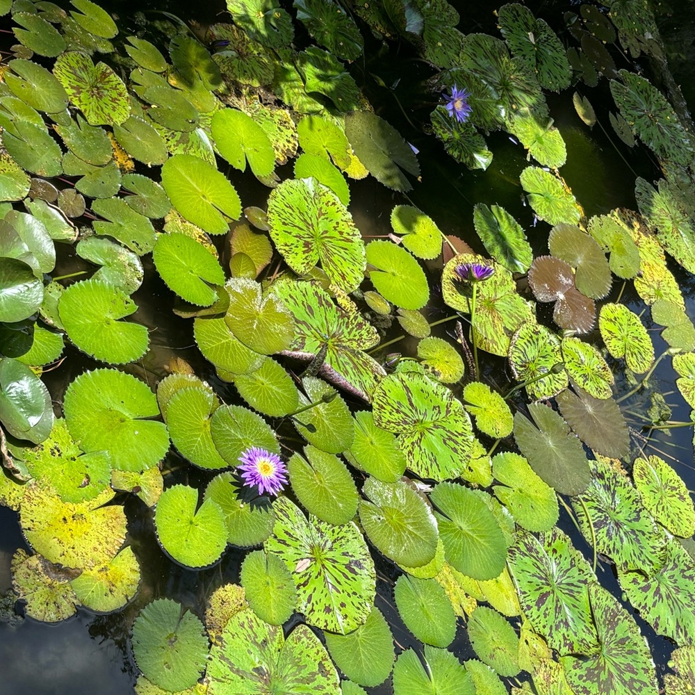 Quick list